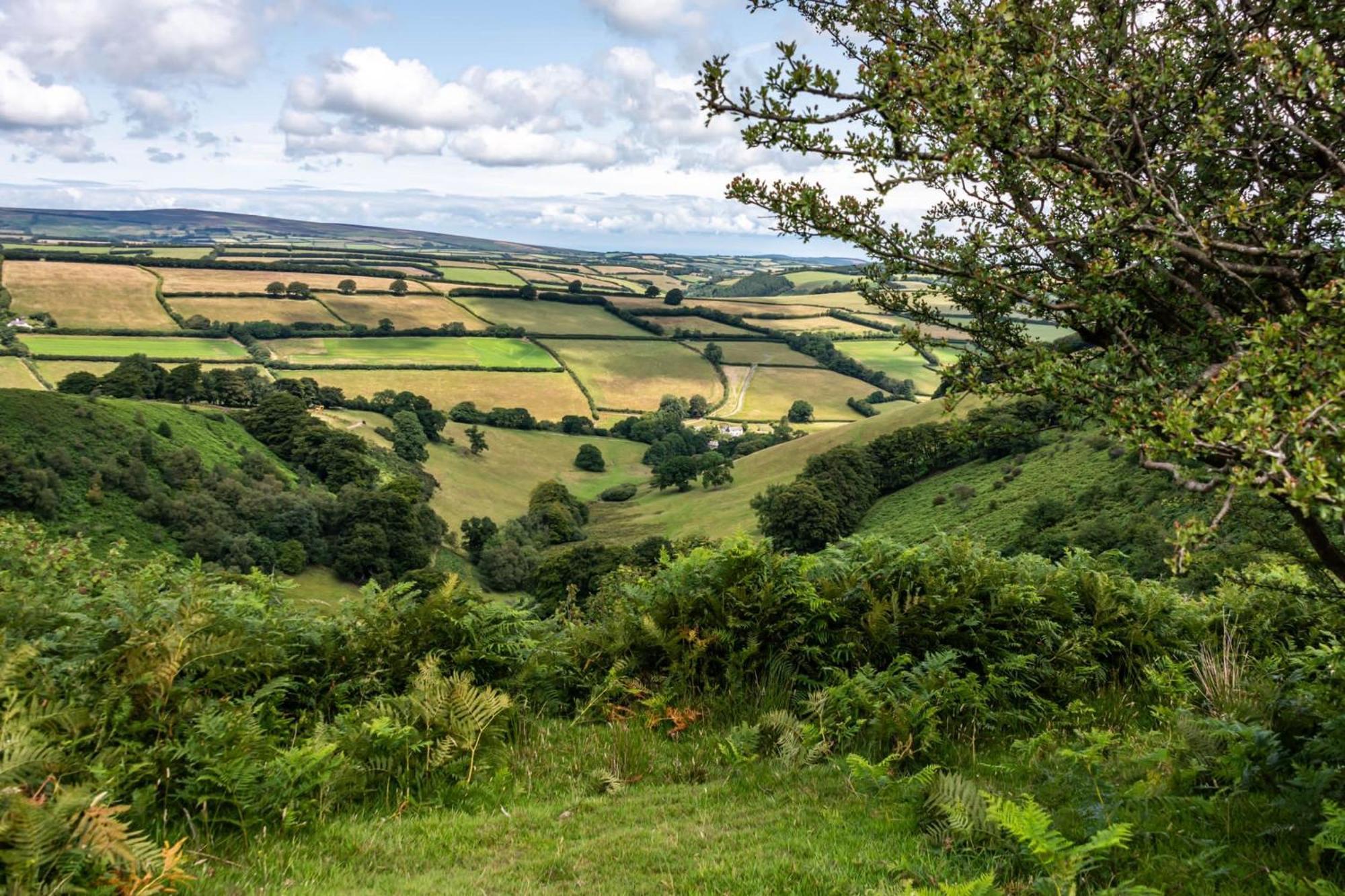 Bed and Breakfast The Hayloft, Exmoor Withypool Экстерьер фото